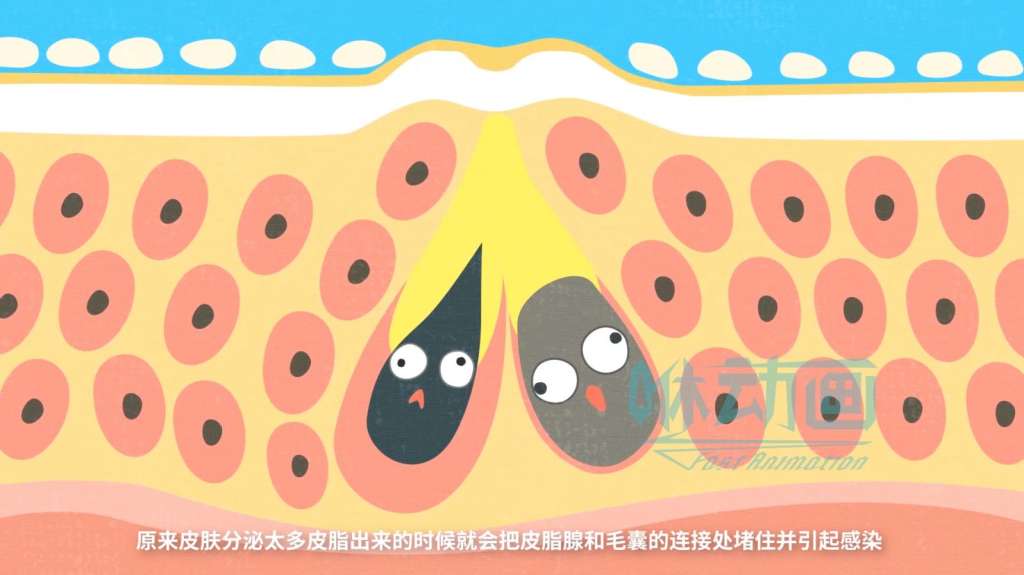 三維動(dòng)畫(huà)制作費(fèi)用比二維動(dòng)畫(huà)高嗎？